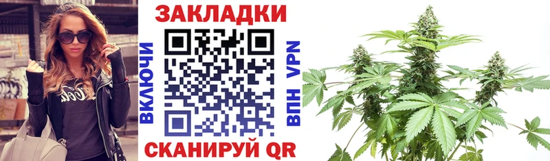 Где можно купить наркотики Губаха ГАШИШ  Alpha PVP  Амфетамин  Псилоцибиновые грибы  Мефедрон  Канабис 