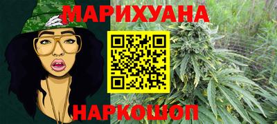 гидра Волгодонск