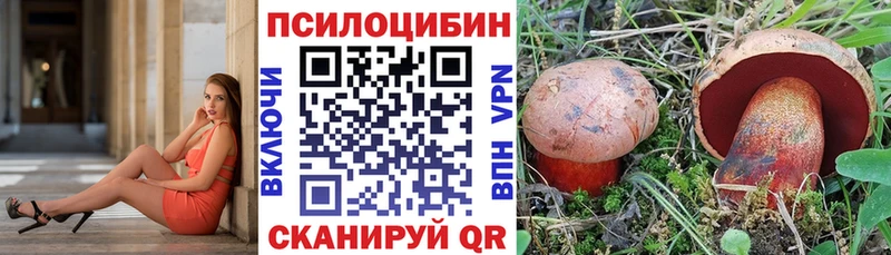 наркошоп  ОМГ ОМГ как зайти  Псилоцибиновые грибы ЛСД  Губаха 
