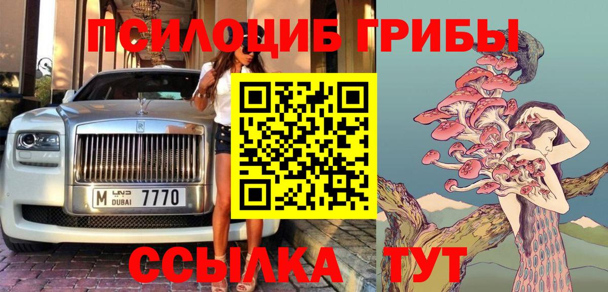 Псилоцибиновые грибы Psilocybine cubensis  Вход с VPN  Псилоцибиновые грибы прущие грибы  Губаха 